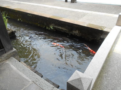 遠足７